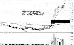 龙头股的基本面特征