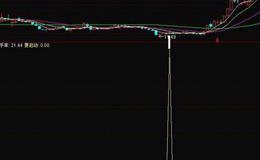 飞狐资金进场日指标公式源码解析