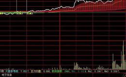 飞狐成交量主图指标公式源码解读