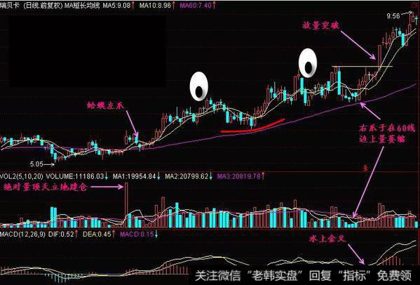 金蛤蟆形态实战总结