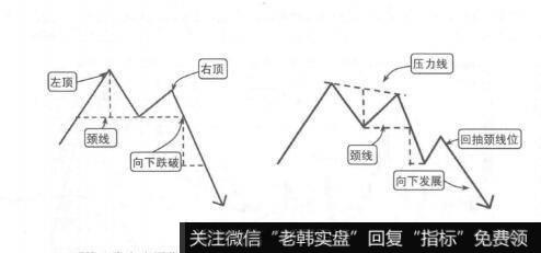 图8-32M头形态示意图