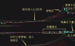 炒股知识入门技巧|怎样防范炒股的风险？