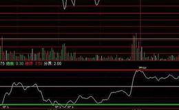 飞狐南山老鼠指标公式源码解读