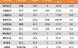 沪指涨0.13% 闻泰科技、晶瑞股份等11只个股盘中股价创历史新高