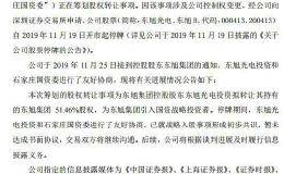 东旭集团董事长李兆廷：争取更多的资金支持以解决短期流动性紧张问题