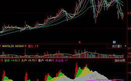 飞狐保护神指标公式源码解读