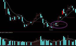 飞狐神猴探月指标公式源码解读