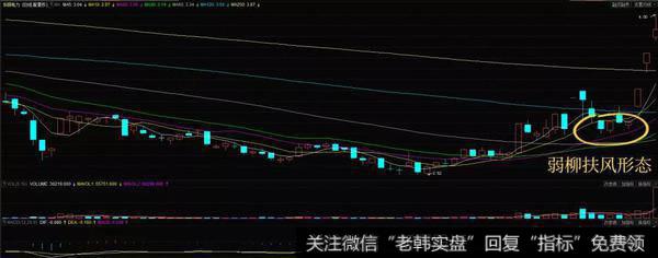 弱柳扶风形态实战案例