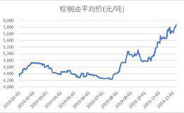 棕榈油价格创新高 龙头油脂企业有望受益