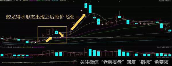 蛟龙得水形态实战案例