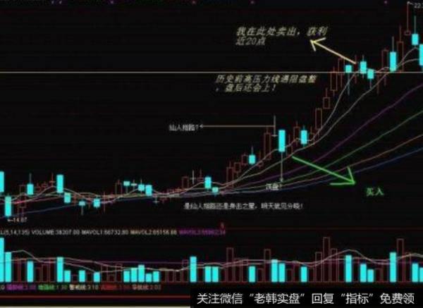 飞狐成本逐利指标