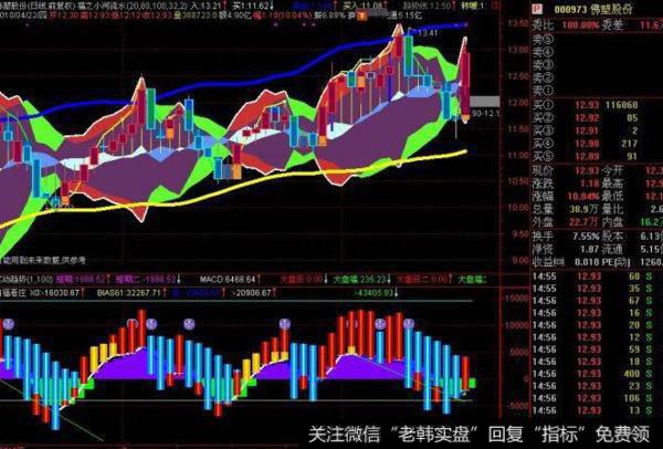 飞狐黑马组合指标