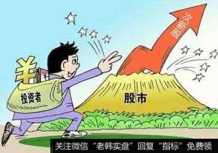 股指回归震荡，人气股强者恒强