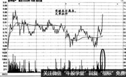 时间效应实战盘口：“墙头草”