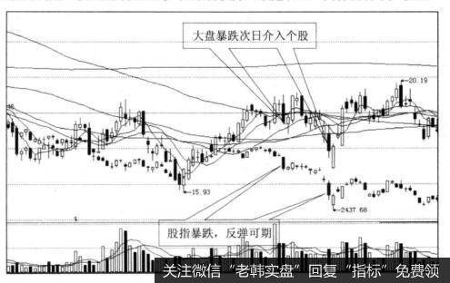 为什么投资者可以在下跌趋势抢反弹？