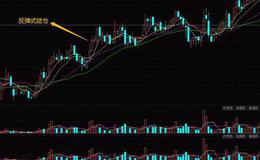 <em>股票知识</em>大全｜庄家反弹式建仓的特征以及庄家反弹式建仓的案例分析