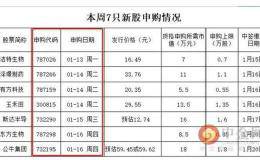 “插座一哥”来了！打新中1签或可赚6万 可转债投资4问4答