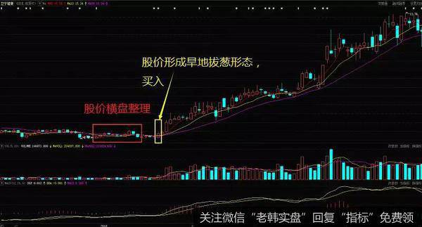 股票入门基础知识丨股票均线形态之旱地拔葱形态及其案例解析