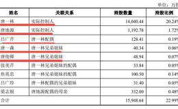 圣泉集团IPO疑云：股权演变扑“扑朔迷离” 文字多处错漏 总资产72亿