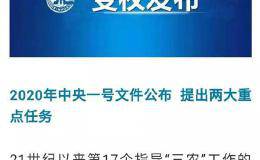 中央一号文件出炉！连续17年聚焦“三农” 明确两大目标任务！来看六大关键点