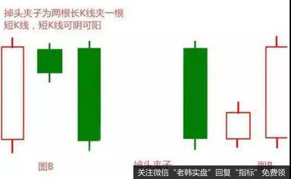 掉头夹子形态概念