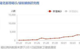 猎豹实盘：放量震荡！会大跌么？