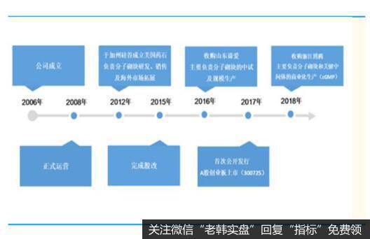 分子砌块行业全球领导者，增长势头猛，药石科技前途不可限量