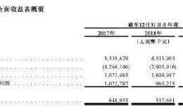 领地集团赴港IPO“补血” 负债高企“千亿梦”难圆