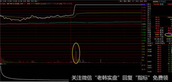 大千生态日线图