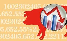 北京统计局：5月CPI环比跌0.5% 猪肉环比跌8.7%