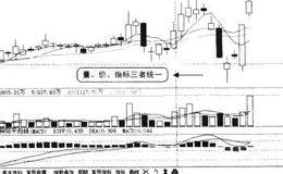 如何综合运用量、价、指标来买卖