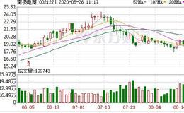 南极电商：融资净偿还779.61万元，融资余额4.43亿元（08-25）