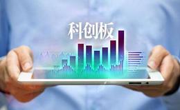 科创板公司上半年业绩靓丽 机构大举进场