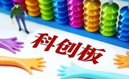 迎难而上 科创板公司业绩一枝独秀