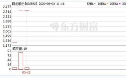 群龙股份2020年上半年净利951.10万减少46% 主机厂新能源汽车销量下滑