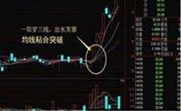 叶檀：在后浪的世界里 拼才是消费新主流