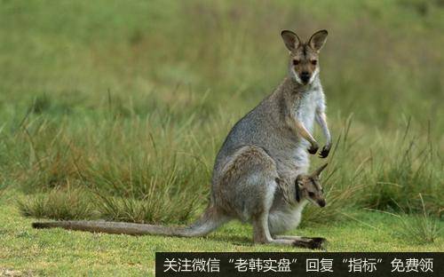 [黄生谈国际形势]极度无耻，皇帝的新装，这个国家什么也没穿