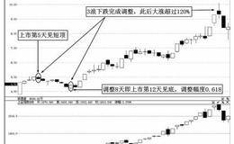 波浪理论与斐波纳契序列数的综合运用实战案例分析