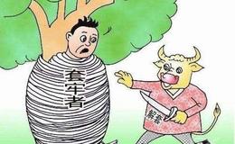 淘气天尊：个股溃不成军，反弹临界点或在午后！