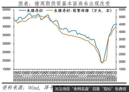 任泽平股市最新相关消息：谈货币宽松：经济和通胀放缓7