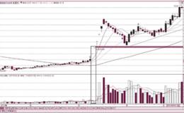 股价启动后的缩量一字涨停