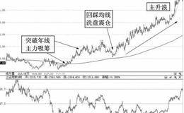 中级调整后年线位置寻牛股技巧实例分析——晶盛机电（300316）