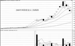 短线龙头股的确认