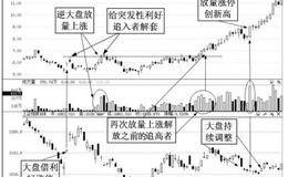 长春高新（000661）2009年初牛股捕捉案例：股市暴跌，恐惧造就牛股