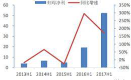 盈利增长能力分析