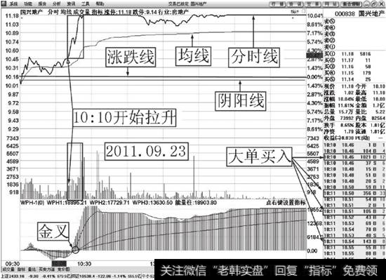 国兴地产（000838）大单买入解说图