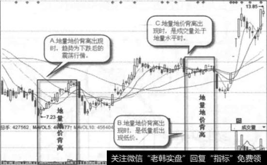 金鹰股份-日线图